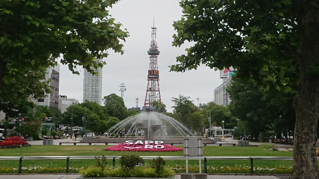 f:id:upisunu:20201031172001j:image f:id:upisunu:20201031172001j:image