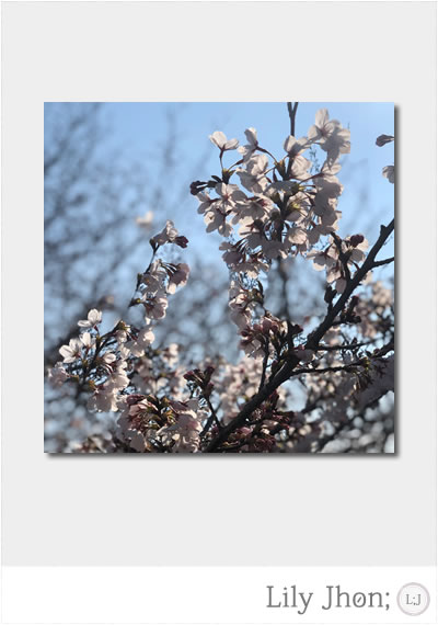 f:id:uptownstyle:20190424115913j:plain f:id:uptownstyle:20190424115913j:plain