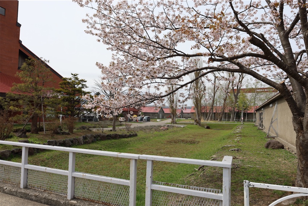 f:id:ur173432401:20260505174852j:image