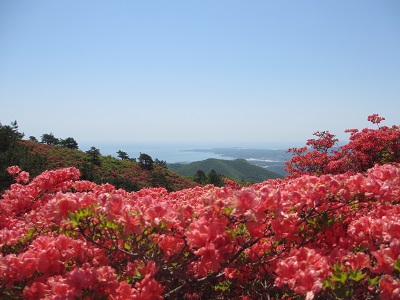 f:id:ura-sima:20190525210739j:plain f:id:ura-sima:20190525210739j:plain