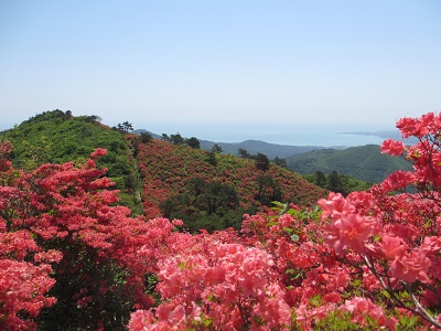f:id:ura-sima:20190525210932j:plain f:id:ura-sima:20190525210932j:plain
