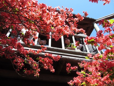 f:id:ura-sima:20190526095559j:plain f:id:ura-sima:20190526095559j:plain