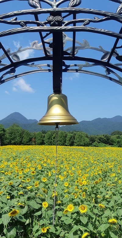 f:id:ura-sima:20190818132210j:plain f:id:ura-sima:20190818132210j:plain