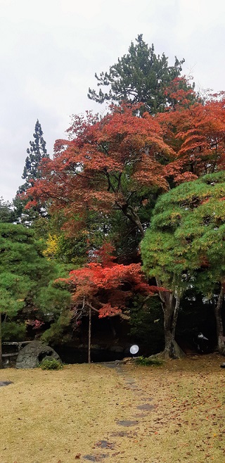 f:id:ura-sima:20191109211337j:plain f:id:ura-sima:20191109211337j:plain