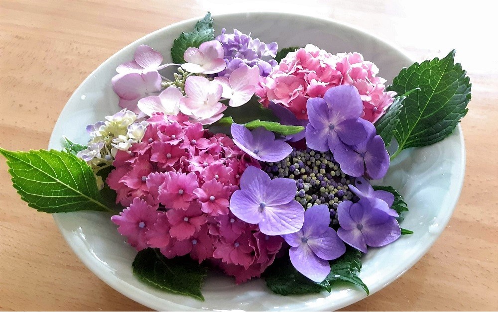 f:id:ura-sima:20210708132650j:plain