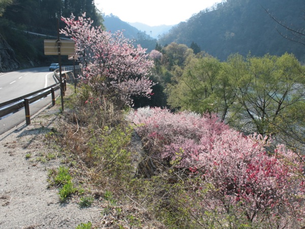 ss_IMG_3383