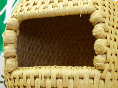 s_IMG_2678