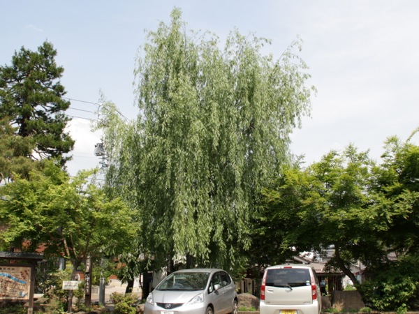 ss_IMG_3934