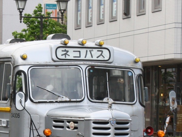 ss_IMG_1528