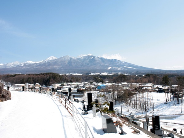 ss_IMG_2547