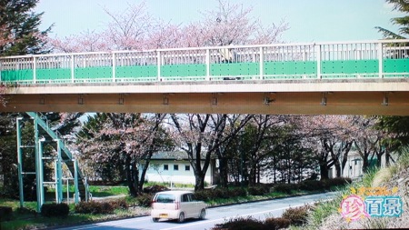 s_IMG_0187
