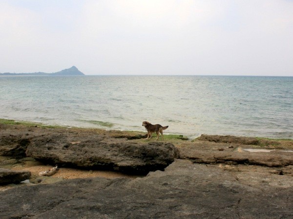 sIMG_8912
