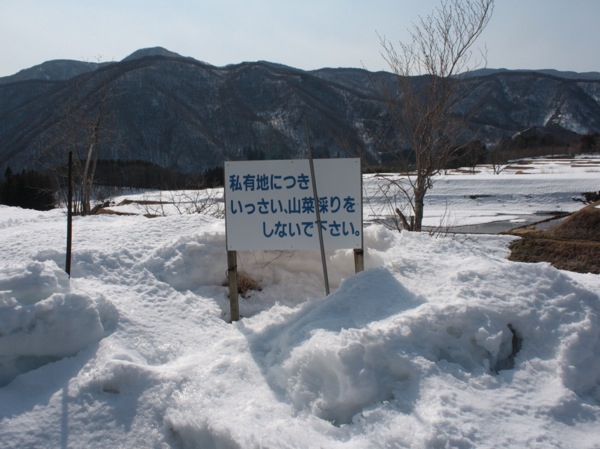 ss_IMG_2644
