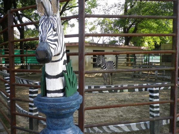 ss_IMGP4378
