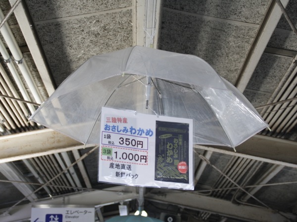 sIMG_6501