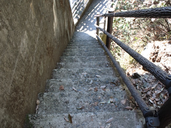 ss_IMG_3345