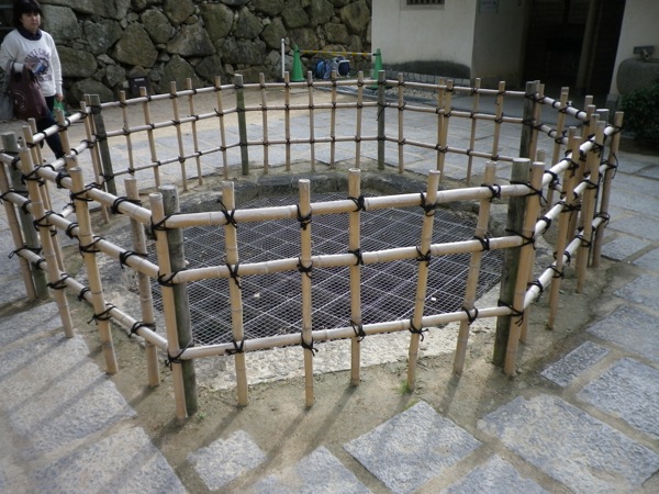 ss_IMGP4402