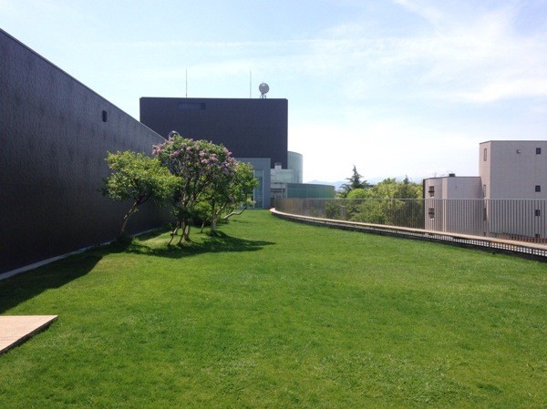 sIMG_2770