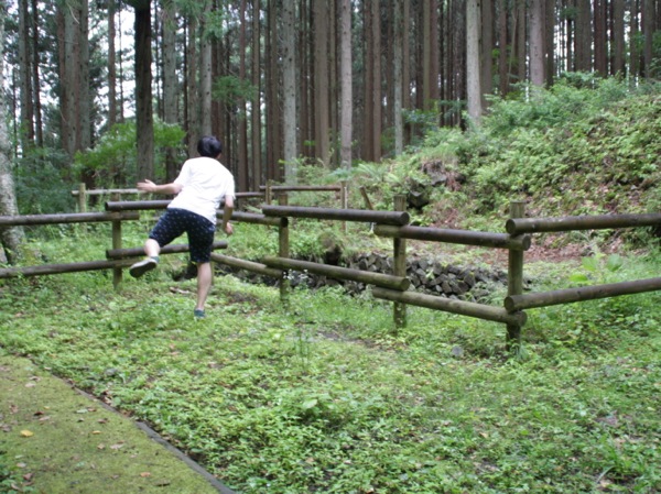 ss_IMG_6291