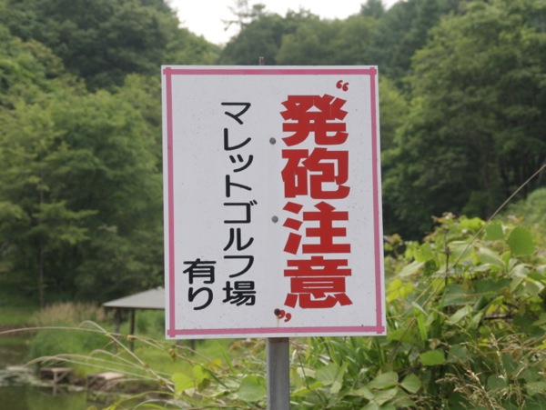 ss_IMG_5261