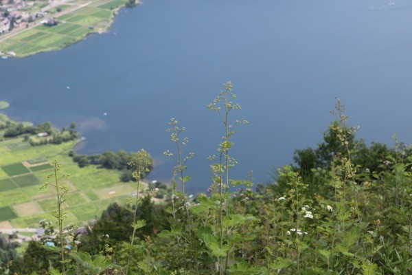 s_163A0245