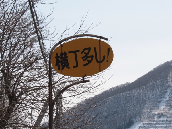 ss_IMG_2570