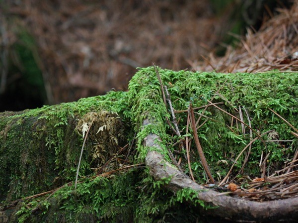 s_IMG_2156