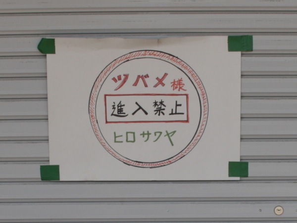 ss_IMG_4019 のコピー