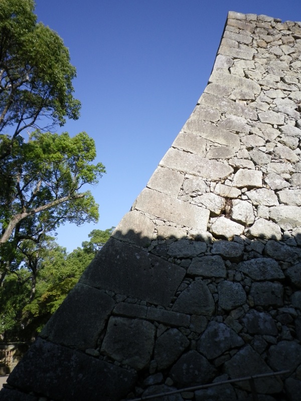 ss_IMGP4471