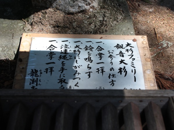 ss_IMG_3590