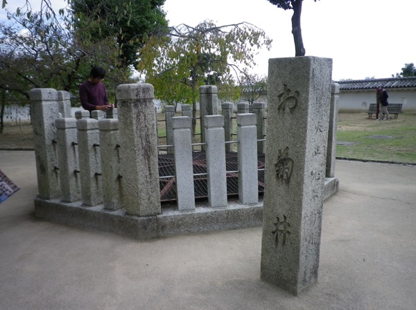 ss_IMGP4396