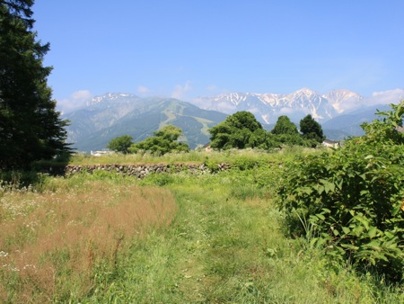 s_IMG_5020