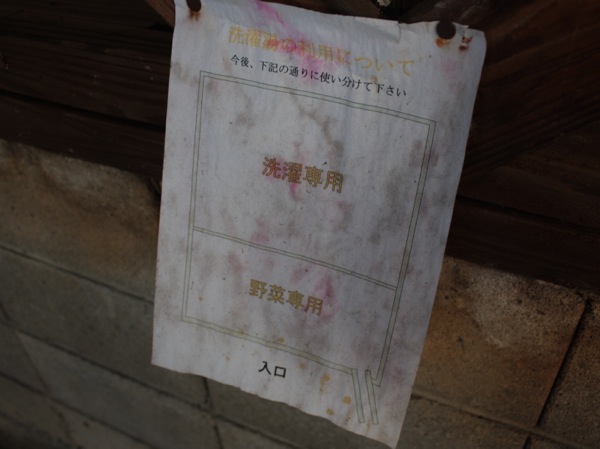 ss_IMG_2396