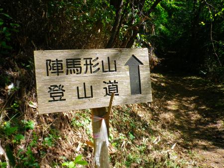 111005w_jinma1