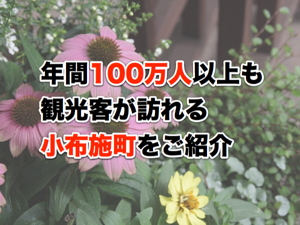 ss_IMG_574244