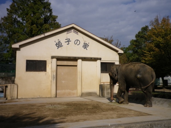 ss_IMGP4383