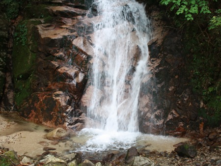 s_IMG_6658
