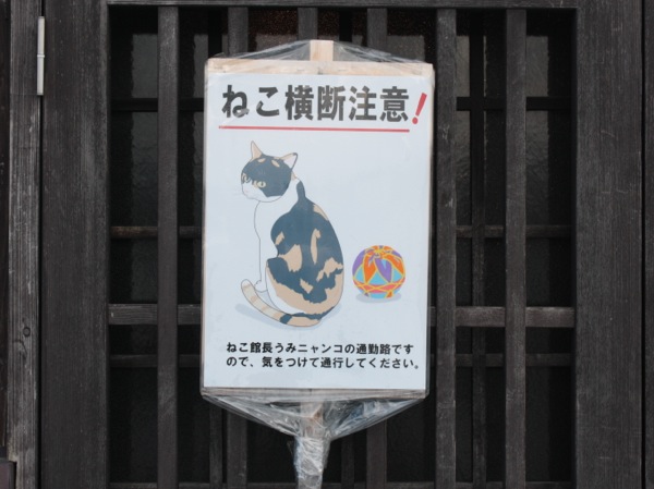 ss_IMG_2896