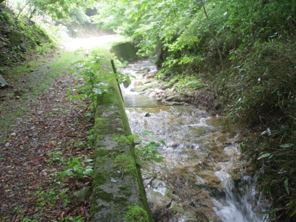 ss_IMG_4837