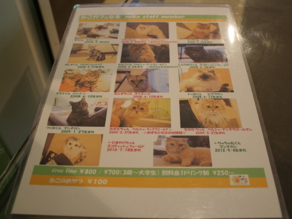 sIMG_6812