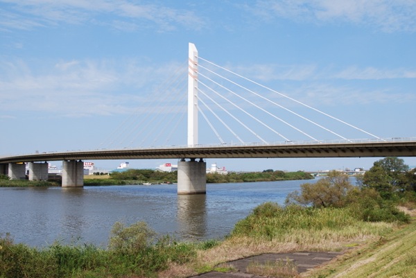 ss_815007