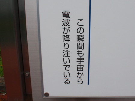 s_IMG_3997