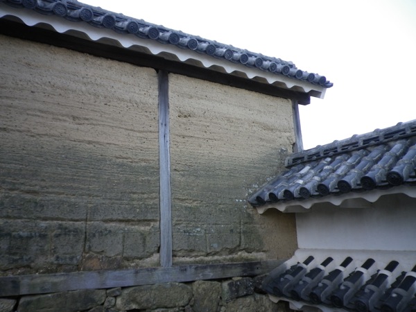 ss_IMGP4482