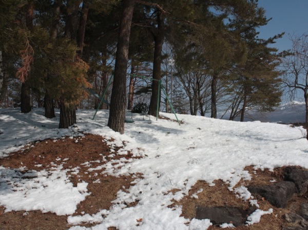 ss_IMG_2539