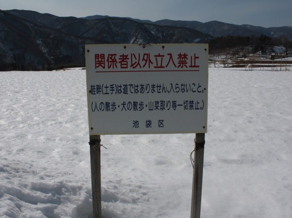 ss_IMG_2631