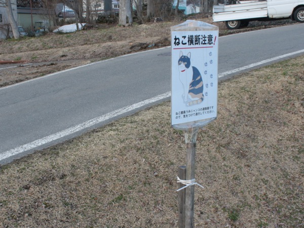 ss_IMG_2899