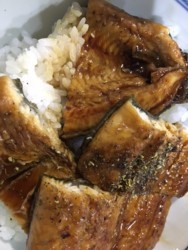 f:id:uragami_t:20170725185834j:image