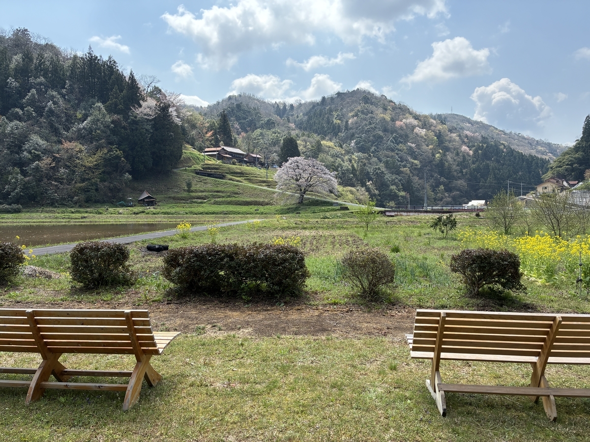 井川の一本桜 駐車場