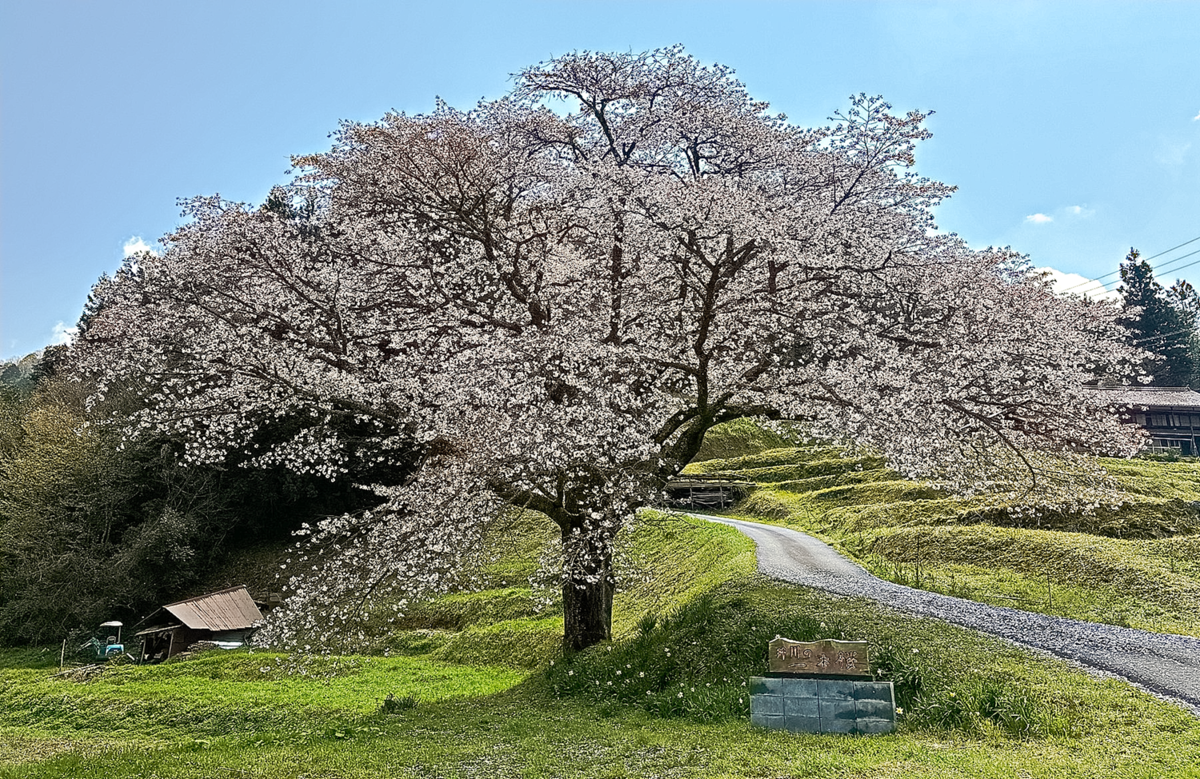 萩・石見空港　着陸