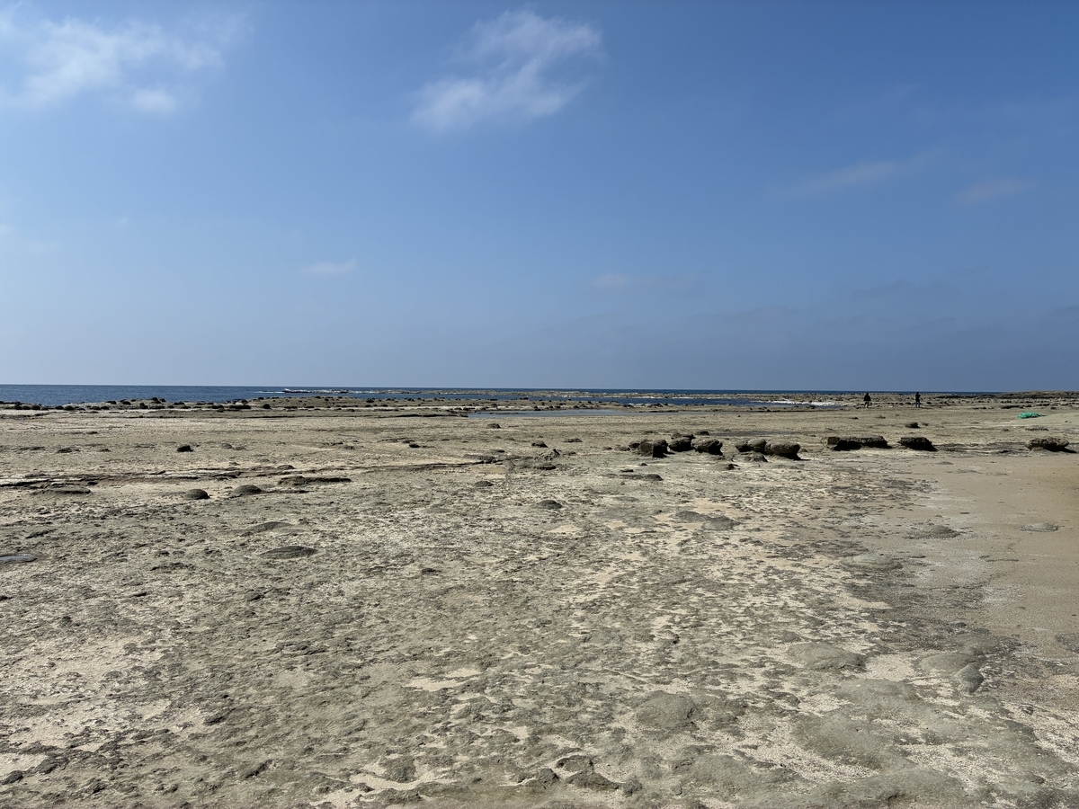 国指定天然記念物 石見畳ヶ浦